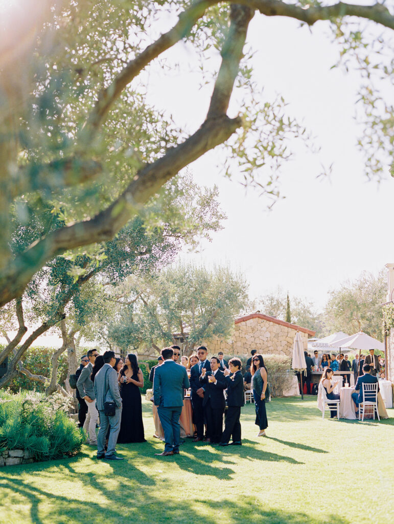 Guests on the lawn of an olive grove enjoying appetizers during cocktail hour 
