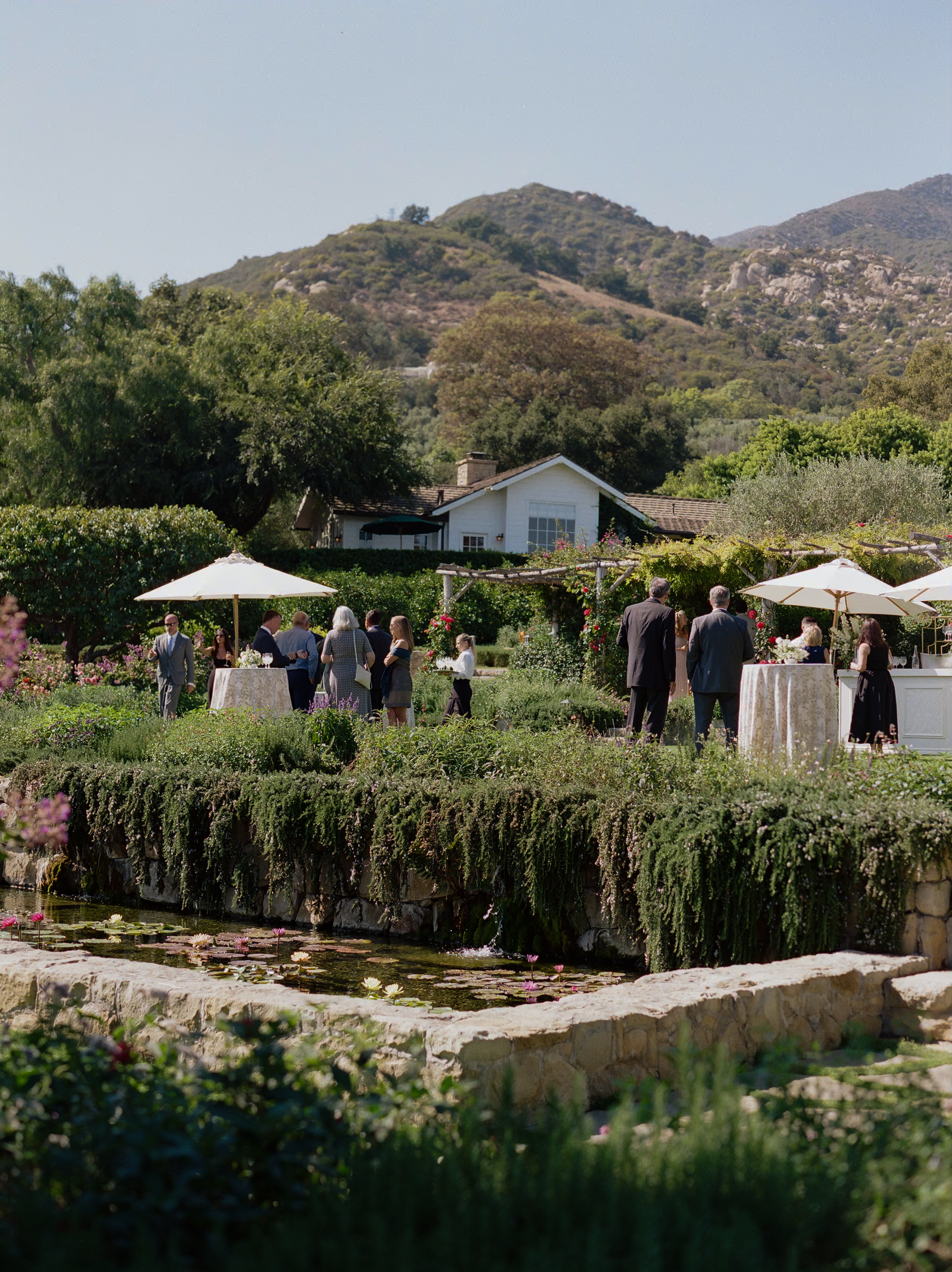 cocktail hour during wedding at san ysidro ranch in montecito, ca. 